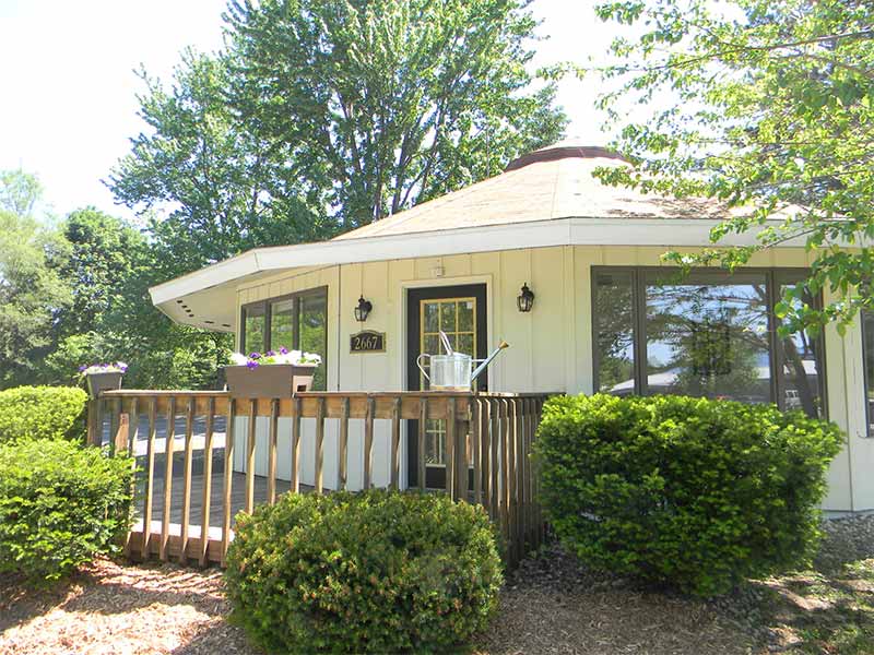 Cat Boarding Suites in Grand Rapids